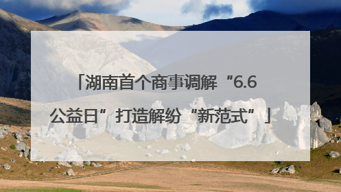 湖南首个商事调解“6.6 公益日”打造解纷“新范式”