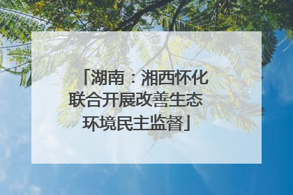 湖南：湘西怀化联合开展改善生态环境民主监督