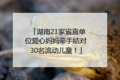 湖南21家省直单位爱心妈妈牵手结对30名流动儿童！
