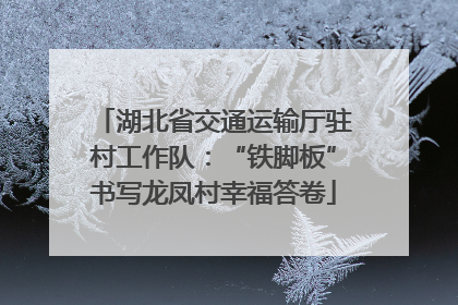 湖北省交通运输厅驻村工作队：“铁脚板”书写龙凤村幸福答卷