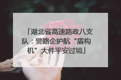 湖北省高速路政八支队：警路企护航“盾构机”大件平安过境