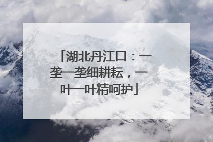 湖北丹江口：一垄一垄细耕耘，一叶一叶精呵护