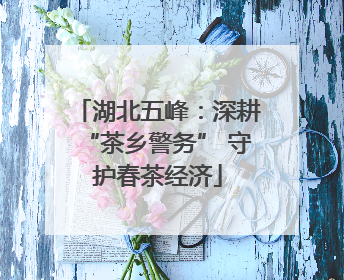 湖北五峰：深耕“茶乡警务” 守护春茶经济