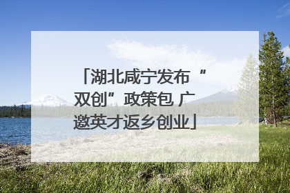 湖北咸宁发布“双创”政策包 广邀英才返乡创业