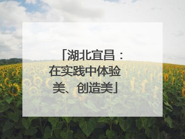 湖北宜昌：在实践中体验美、创造美