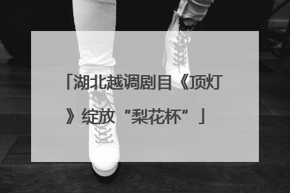 湖北越调剧目《顶灯》绽放“梨花杯”