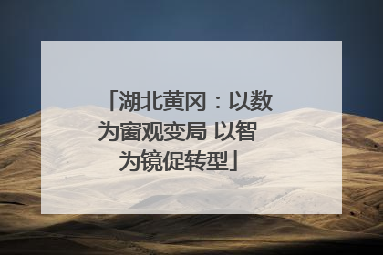 湖北黄冈：以数为窗观变局 以智为镜促转型