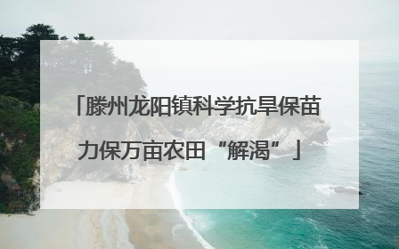 滕州龙阳镇科学抗旱保苗 力保万亩农田“解渴”