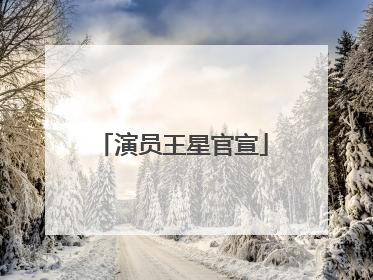 演员王星官宣