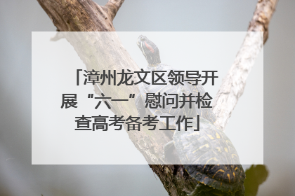 漳州龙文区领导开展“六一”慰问并检查高考备考工作