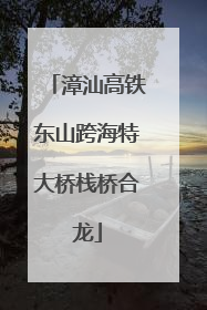 漳汕高铁东山跨海特大桥栈桥合龙
