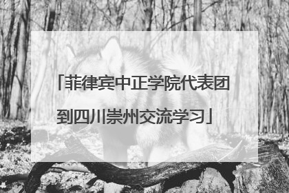 菲律宾中正学院代表团到四川崇州交流学习