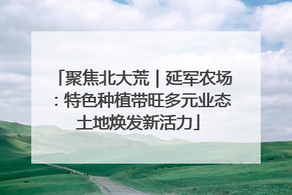 聚焦北大荒｜延军农场：特色种植带旺多元业态 土地焕发新活力