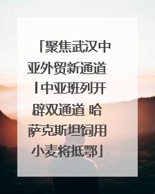 聚焦武汉中亚外贸新通道│中亚班列开辟双通道 哈萨克斯坦饲用小麦将抵鄂