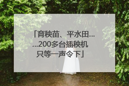 育秧苗、平水田……200多台插秧机只等一声令下