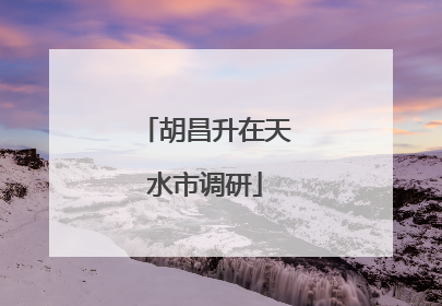 胡昌升在天水市调研