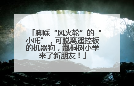 脚踩“风火轮”的“小吒”，可脱离遥控板的机器狗，泡桐树小学来了新朋友！