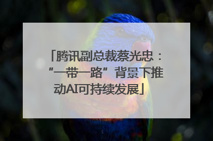 腾讯副总裁蔡光忠：“一带一路”背景下推动AI可持续发展