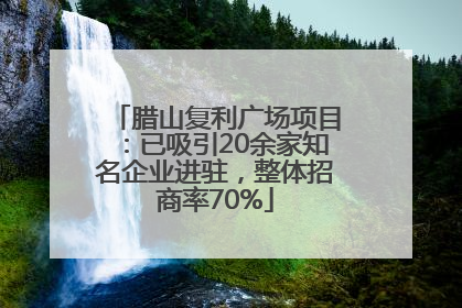 腊山复利广场项目：已吸引20余家知名企业进驻，整体招商率70%