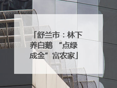 舒兰市：林下养白鹅 “点绿成金”富农家