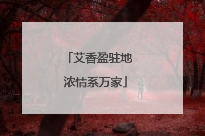 艾香盈驻地 浓情系万家