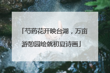 芍药花开映台湖，万亩游憩园绘就初夏诗画
