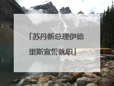 苏丹新总理伊德里斯宣誓就职
