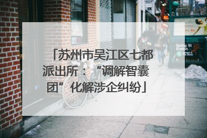 苏州市吴江区七都派出所：“调解智囊团”化解涉企纠纷