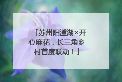 苏州阳澄湖×开心麻花，长三角乡村首度联动！