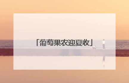 葡萄果农迎夏收