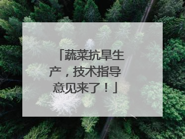 蔬菜抗旱生产，技术指导意见来了！
