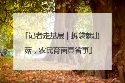 记者走基层｜拆袋就出菇，农民育菌真省事