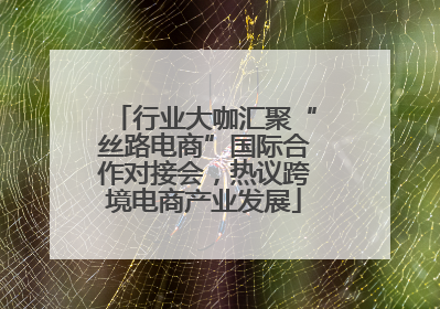行业大咖汇聚“丝路电商”国际合作对接会，热议跨境电商产业发展