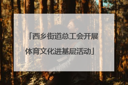 西乡街道总工会开展体育文化进基层活动