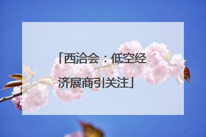 西洽会：低空经济展商引关注