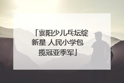 襄阳少儿乓坛绽新星 人民小学包揽冠亚季军