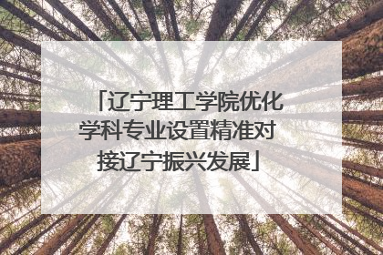 辽宁理工学院优化学科专业设置精准对接辽宁振兴发展