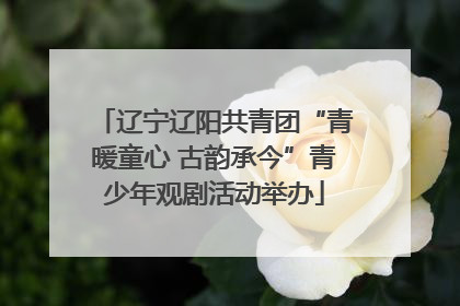 辽宁辽阳共青团“青暖童心 古韵承今”青少年观剧活动举办