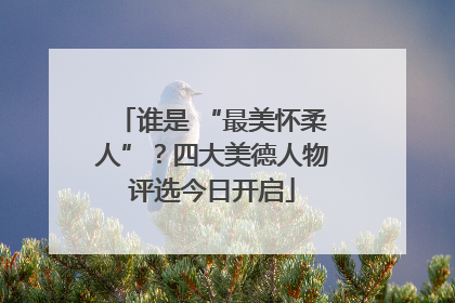 谁是 “最美怀柔人”？四大美德人物评选今日开启