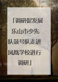 调研促发展 乐山市少先队鼓号队走进凤凰学校进行调研