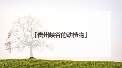 贵州峡谷的动植物