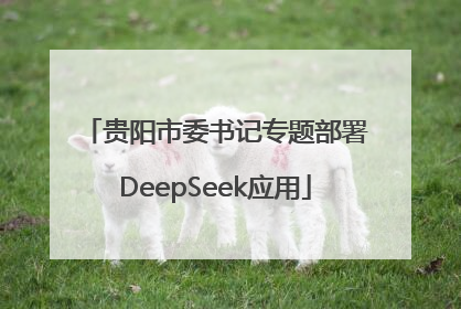 贵阳市委书记专题部署DeepSeek应用