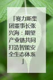 赛力斯集团董事长张兴海：期望产业链共同打造智能安全生态体系