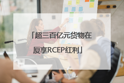 超三百亿元货物在厦享RCEP红利