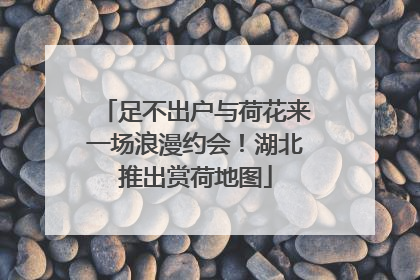 足不出户与荷花来一场浪漫约会！湖北推出赏荷地图