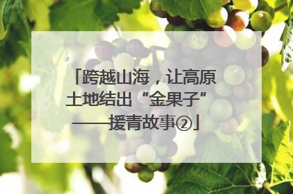 跨越山海，让高原土地结出“金果子”——援青故事②