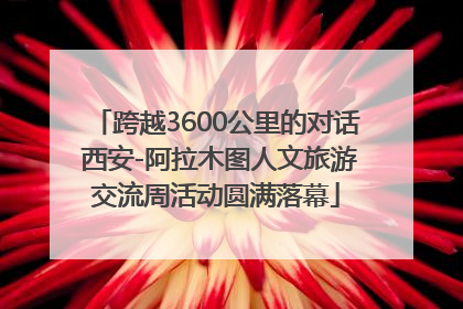 跨越3600公里的对话 西安-阿拉木图人文旅游交流周活动圆满落幕