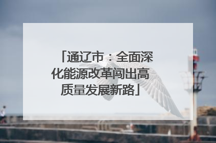 通辽市：全面深化能源改革闯出高质量发展新路