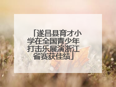 遂昌县育才小学在全国青少年打击乐展演浙江省赛获佳绩