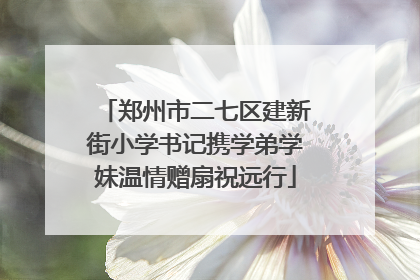 郑州市二七区建新街小学书记携学弟学妹温情赠扇祝远行